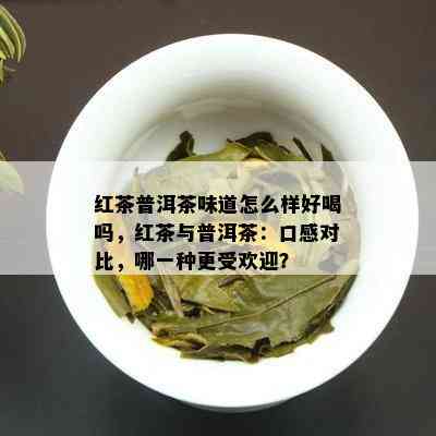 红茶普洱茶味道怎么样好喝吗，红茶与普洱茶：口感对比，哪一种更受欢迎？