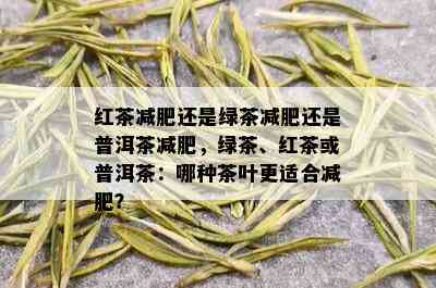 红茶减肥还是绿茶减肥还是普洱茶减肥，绿茶、红茶或普洱茶：哪种茶叶更适合减肥？