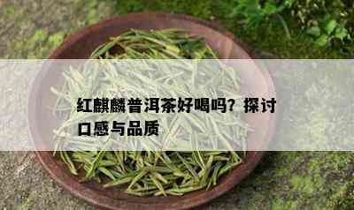 红麒麟普洱茶好喝吗？探讨口感与品质