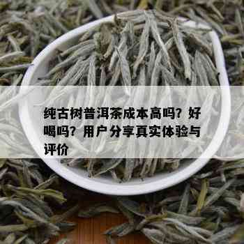 纯古树普洱茶成本高吗？好喝吗？用户分享真实体验与评价