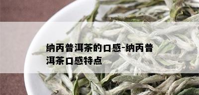 纳丙普洱茶的口感-纳丙普洱茶口感特点