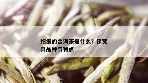 细细的普洱茶是什么？探究其品种与特点