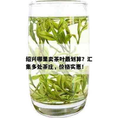 绍兴哪里卖茶叶最划算？汇集多处茶庄，价格实惠！