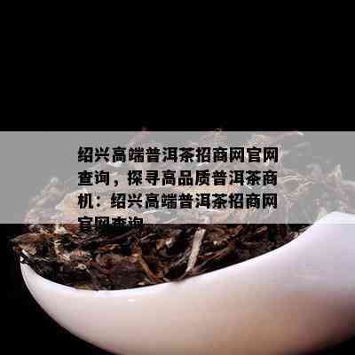 绍兴高端普洱茶招商网官网查询，探寻高品质普洱茶商机：绍兴高端普洱茶招商网官网查询