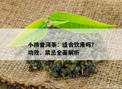 小孩普洱茶：适合饮用吗？功效、禁忌全面解析