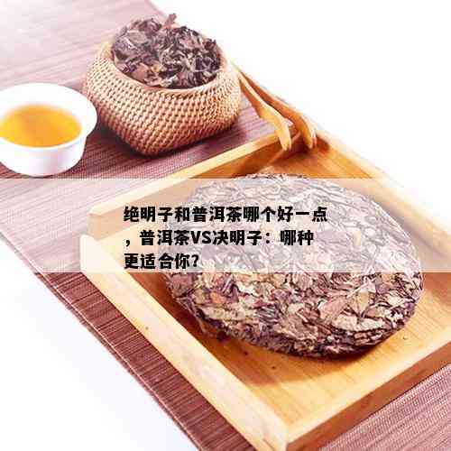 绝明子和普洱茶哪个好一点，普洱茶VS决明子：哪种更适合你？