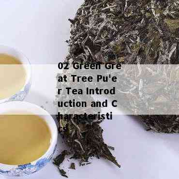 02 Green Great Tree Pu'er Tea Introduction and Characteristics