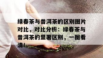 绿春茶与普洱茶的区别图片对比，对比分析：绿春茶与普洱茶的显著区别，一图看清！