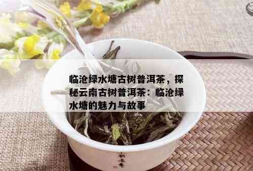 临沧绿水塘古树普洱茶，探秘云南古树普洱茶：临沧绿水塘的魅力与故事