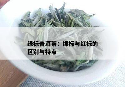 绿标普洱茶：绿标与红标的区别与特点