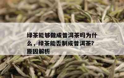 绿茶能够做成普洱茶吗为什么，绿茶能否制成普洱茶？原因解析