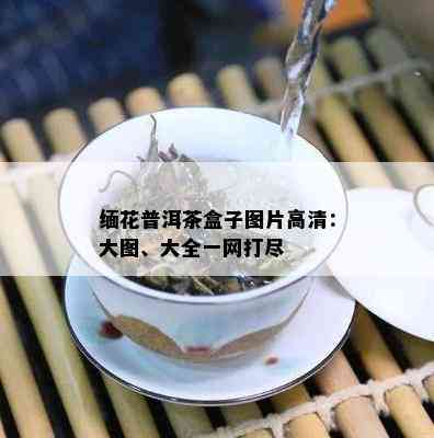 缅花普洱茶盒子图片高清：大图、大全一网打尽