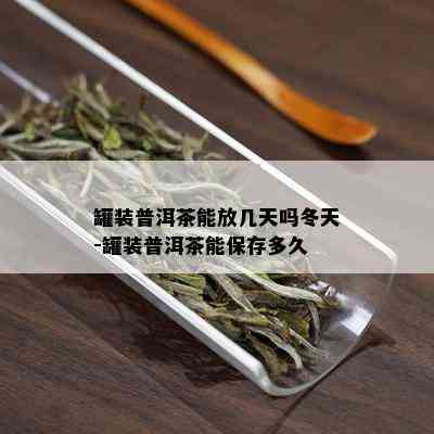 罐装普洱茶能放几天吗冬天-罐装普洱茶能保存多久