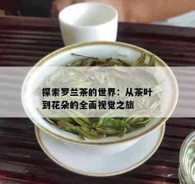 探索罗兰茶的世界：从茶叶到花朵的全面视觉之旅