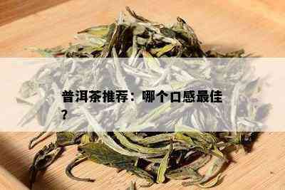 普洱茶推荐：哪个口感更佳？