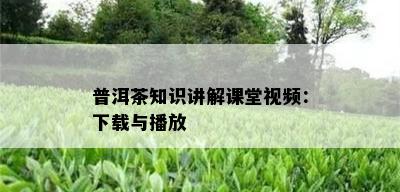 普洱茶知识讲解课堂视频：下载与播放