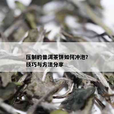 压制的普洱茶饼如何冲泡？技巧与方法分享