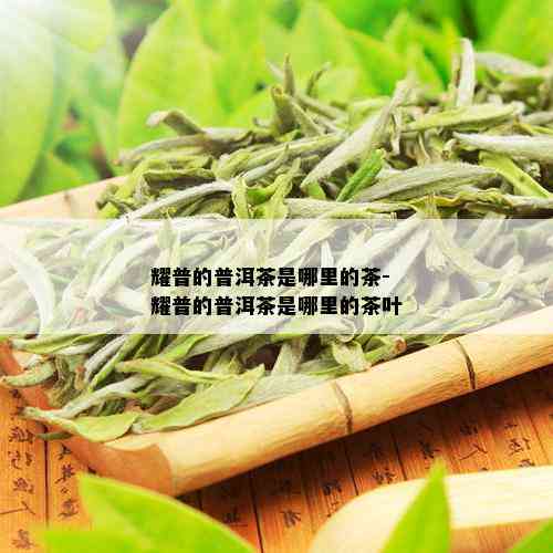 耀普的普洱茶是哪里的茶-耀普的普洱茶是哪里的茶叶