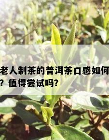 老人制茶的普洱茶口感如何？值得尝试吗？