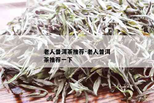 老人普洱茶推荐-老人普洱茶推荐一下