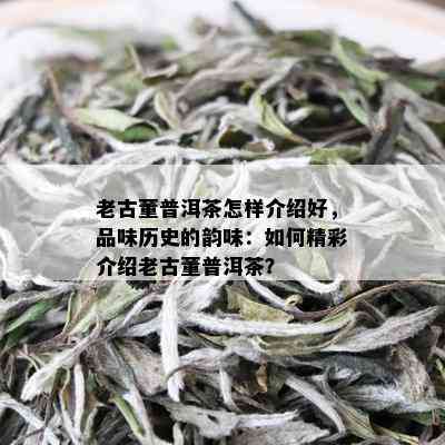 老古董普洱茶怎样介绍好，品味历史的韵味：如何精彩介绍老古董普洱茶？