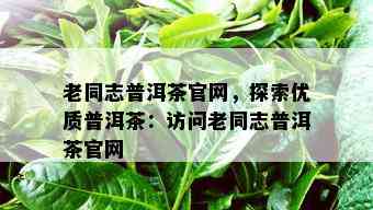 老同志普洱茶官网，探索优质普洱茶：访问老同志普洱茶官网