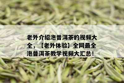 老外介绍泡普洱茶的视频大全，【老外体验】全网最全泡普洱茶教学视频大汇总！