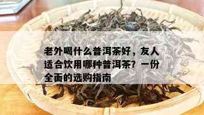 老外喝什么普洱茶好，友人适合饮用哪种普洱茶？一份全面的选购指南