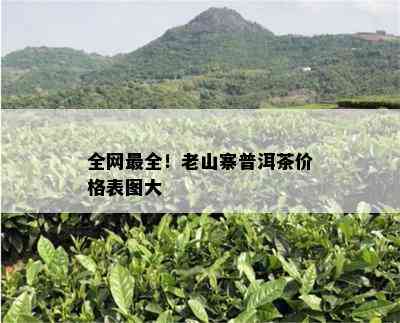 全网最全！老山寨普洱茶价格表图大