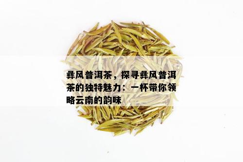 彝风普洱茶，探寻彝风普洱茶的独特魅力：一杯带你领略云南的韵味