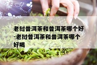 老挝普洱茶和普洱茶哪个好-老挝普洱茶和普洱茶哪个好喝