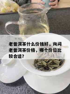 老普洱茶什么价钱好，询问老普洱茶价格，哪个价位比较合适？