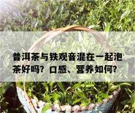 普洱茶与铁观音混在一起泡茶好吗？口感、营养如何？