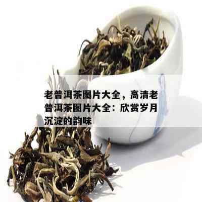 老普洱茶图片大全，高清老普洱茶图片大全：欣赏岁月沉淀的韵味