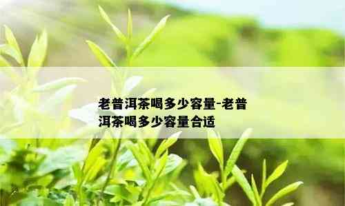 老普洱茶喝多少容量-老普洱茶喝多少容量合适