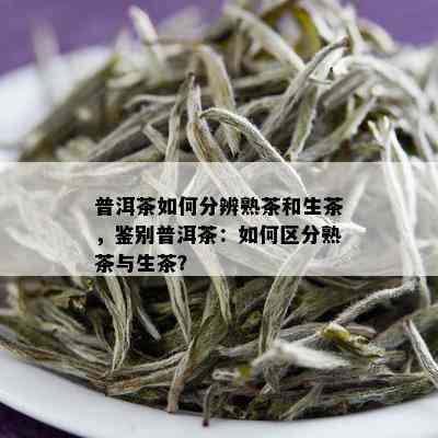 普洱茶如何分辨熟茶和生茶，鉴别普洱茶：如何区分熟茶与生茶？