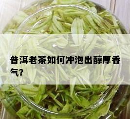 普洱老茶如何冲泡出醇厚香气？