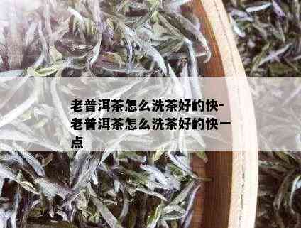 老普洱茶怎么洗茶好的快-老普洱茶怎么洗茶好的快一点