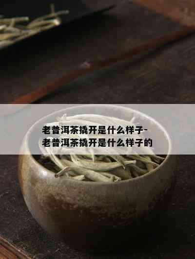 老普洱茶撬开是什么样子-老普洱茶撬开是什么样子的