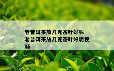 老普洱茶放几克茶叶好呢-老普洱茶放几克茶叶好呢视频