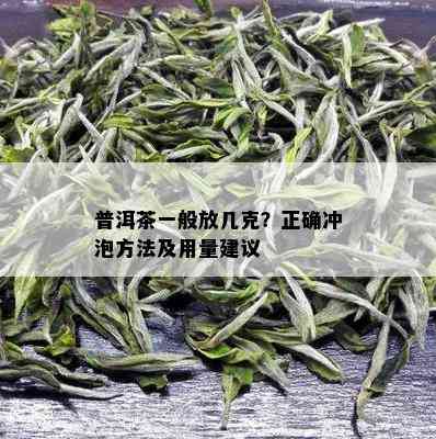 普洱茶一般放几克？正确冲泡方法及用量建议