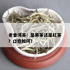 老普洱茶：是黑茶还是红茶？口感如何？