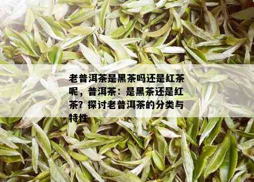 老普洱茶是黑茶吗还是红茶呢，普洱茶：是黑茶还是红茶？探讨老普洱茶的分类与特性