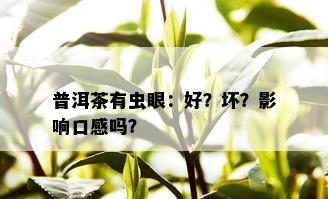 普洱茶有虫眼：好？坏？影响口感吗？