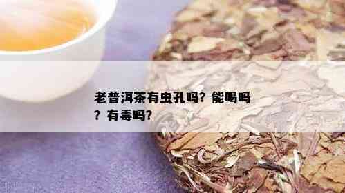 老普洱茶有虫孔吗？能喝吗？有吗？