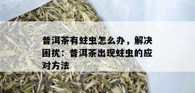 普洱茶有蛀虫怎么办，解决困扰：普洱茶出现蛀虫的应对方法