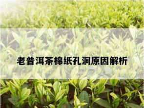 老普洱茶棉纸孔洞原因解析