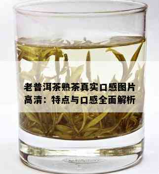 老普洱茶熟茶真实口感图片高清：特点与口感全面解析