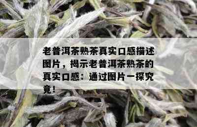 老普洱茶熟茶真实口感描述图片，揭示老普洱茶熟茶的真实口感：通过图片一探究竟！