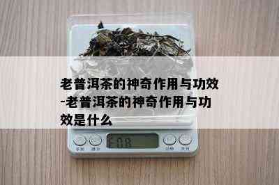 老普洱茶的神奇作用与功效-老普洱茶的神奇作用与功效是什么